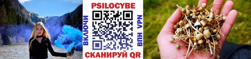 Галлюциногенные грибы GOLDEN TEACHER  продажа наркотиков  Бирск 